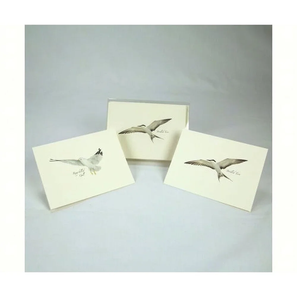 Steven M. Lewers Earth Sky Water LEWERSNC121 Coastal Bird Assortment (Boxed Note